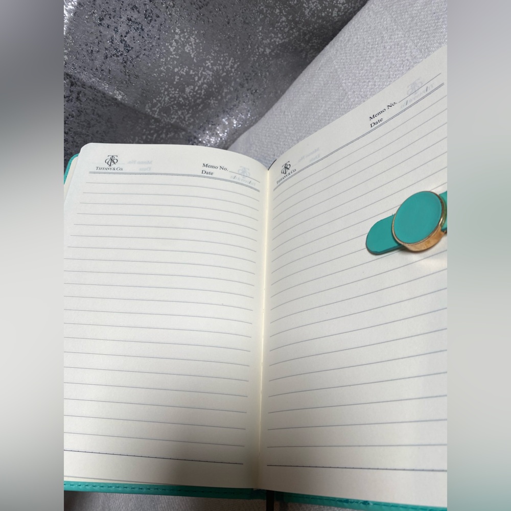 Tiffany & Co. Teal Journal with Gold Clasp - Picture 4 of 5
